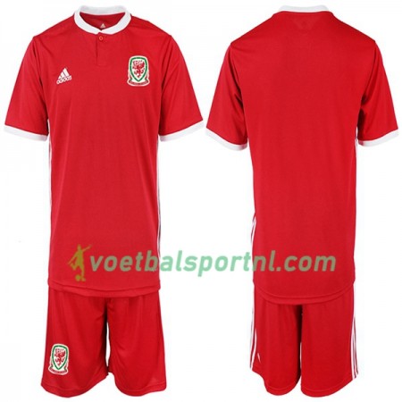 Wales Kind Thuis Tenue 2018-19